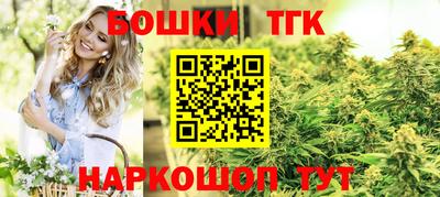 гашик Шахты